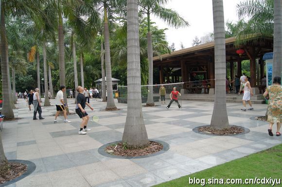 这小区附近的的人都喜欢去文心公园跑步,散步,锻炼,南山医院也是南山