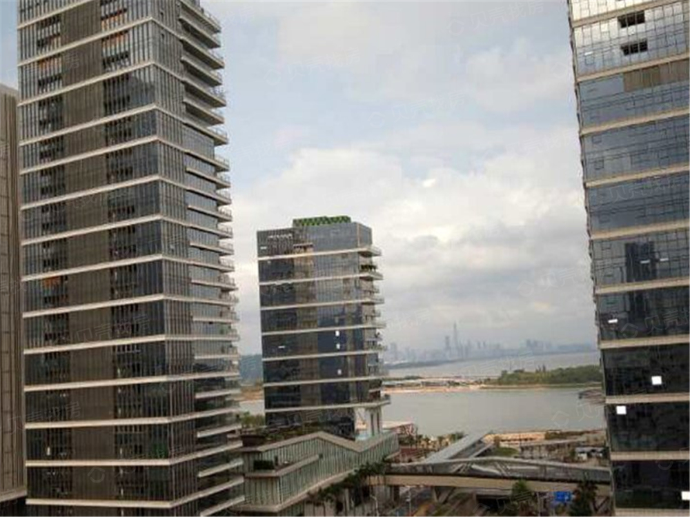 深圳湾1号相册