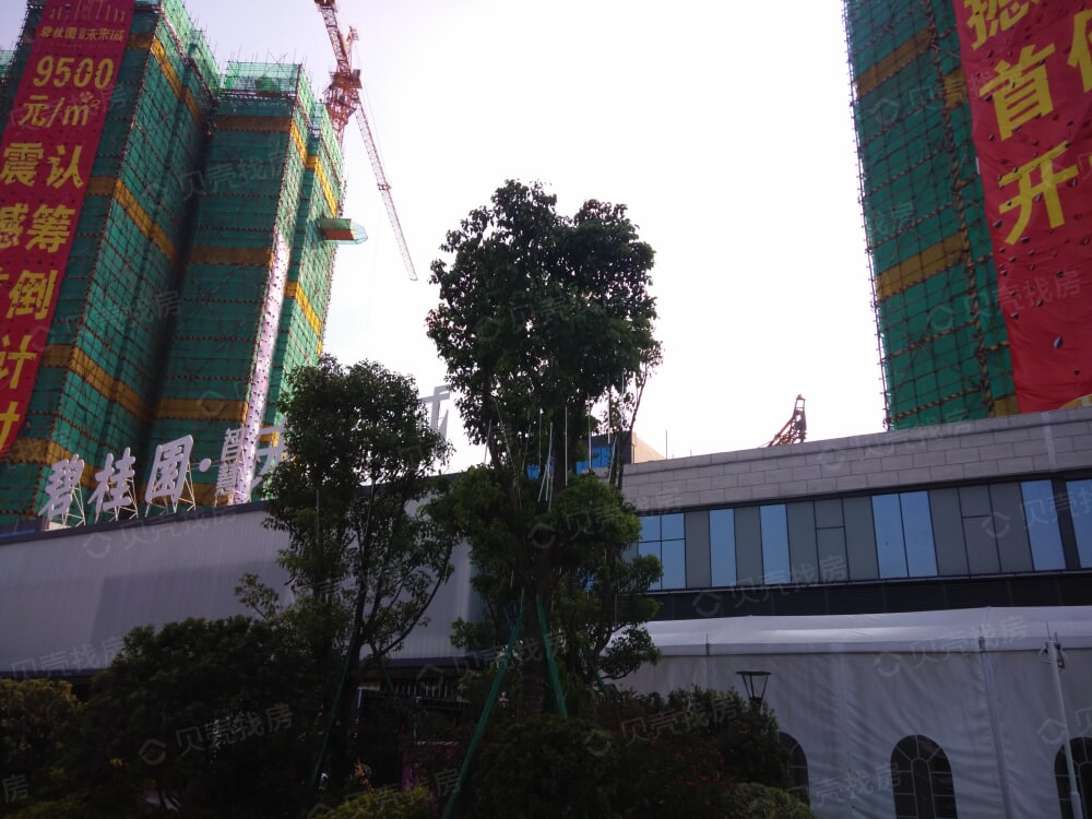 碧桂园智慧未来城相册