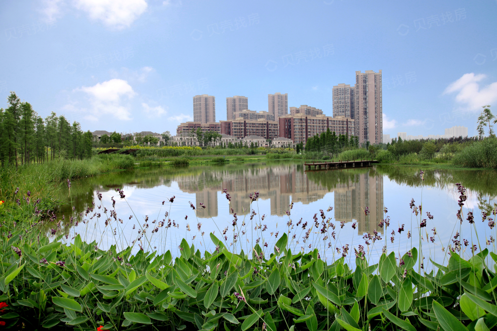 保利狮子湖实景图