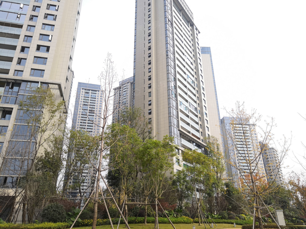 复地金融岛相册