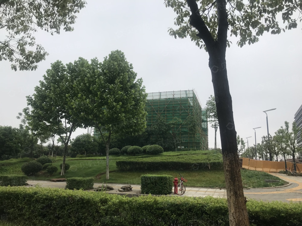 中粮光谷祥云相册