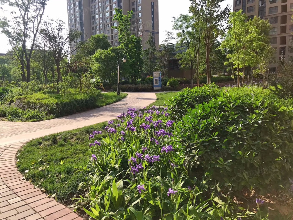 林凯城相册