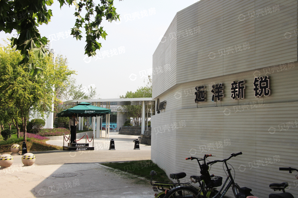 远洋新锐相册