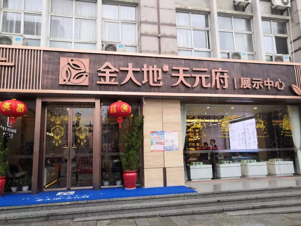 金大地天元府相册