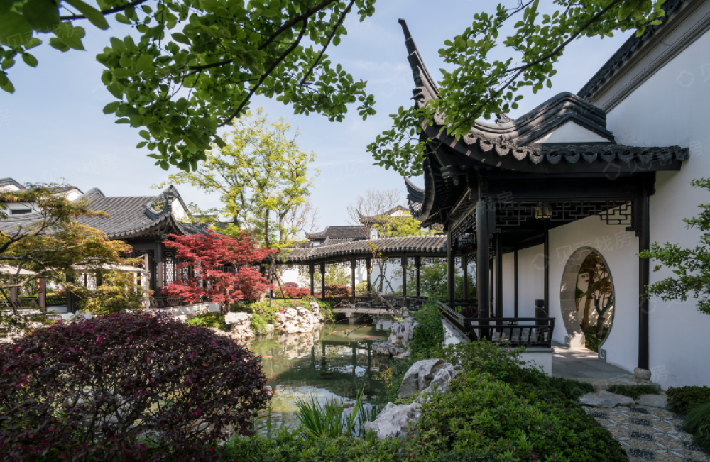 上海桃花源相册