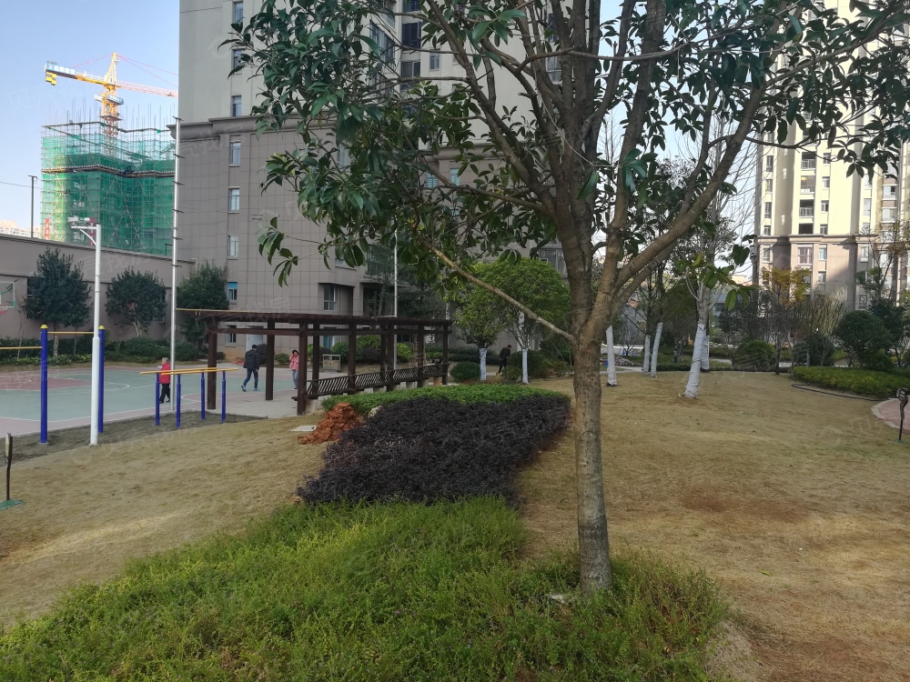 【御锦豪庭_怀化御锦豪庭楼盘】项目现场相册|高清