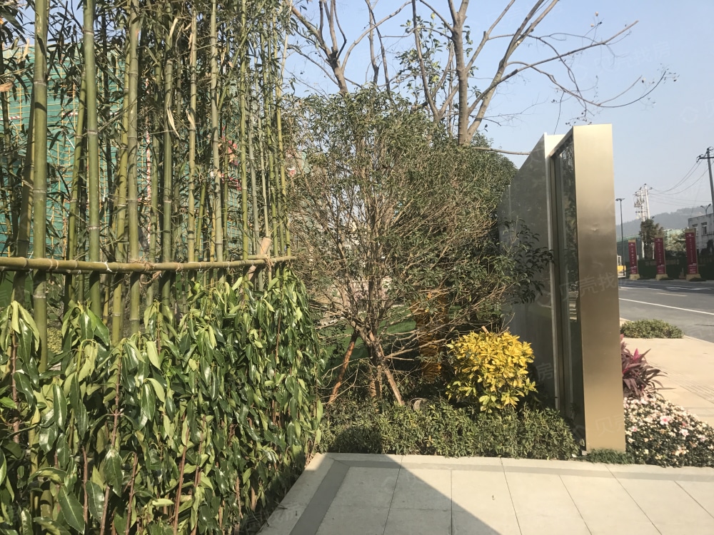 荣安柳岸闻莺相册