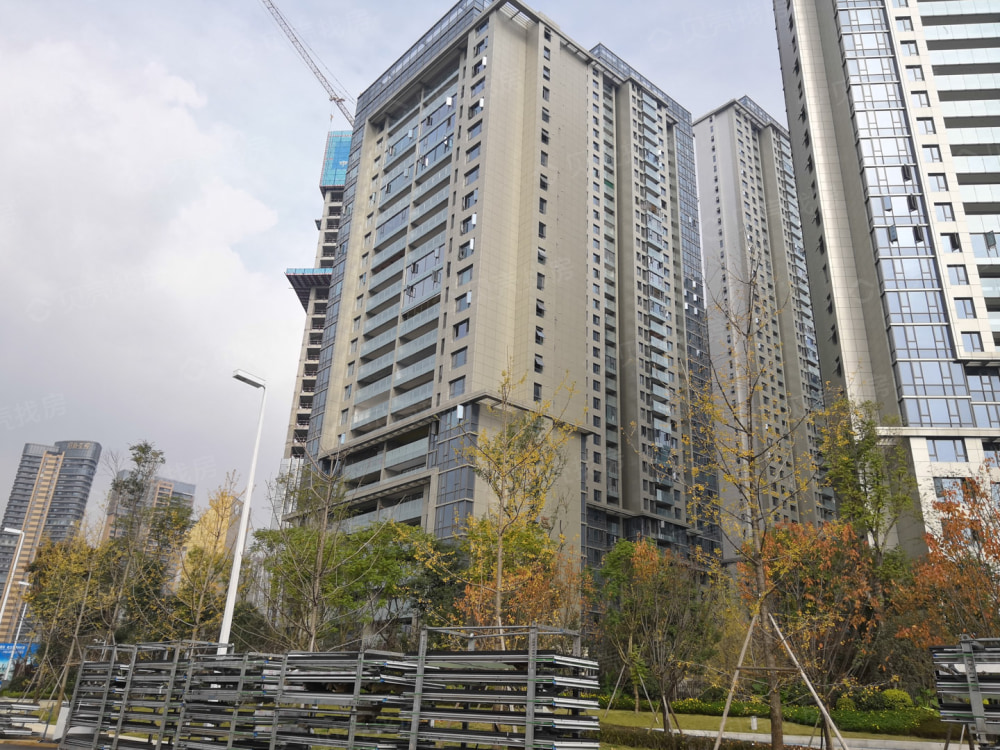 复地金融岛相册
