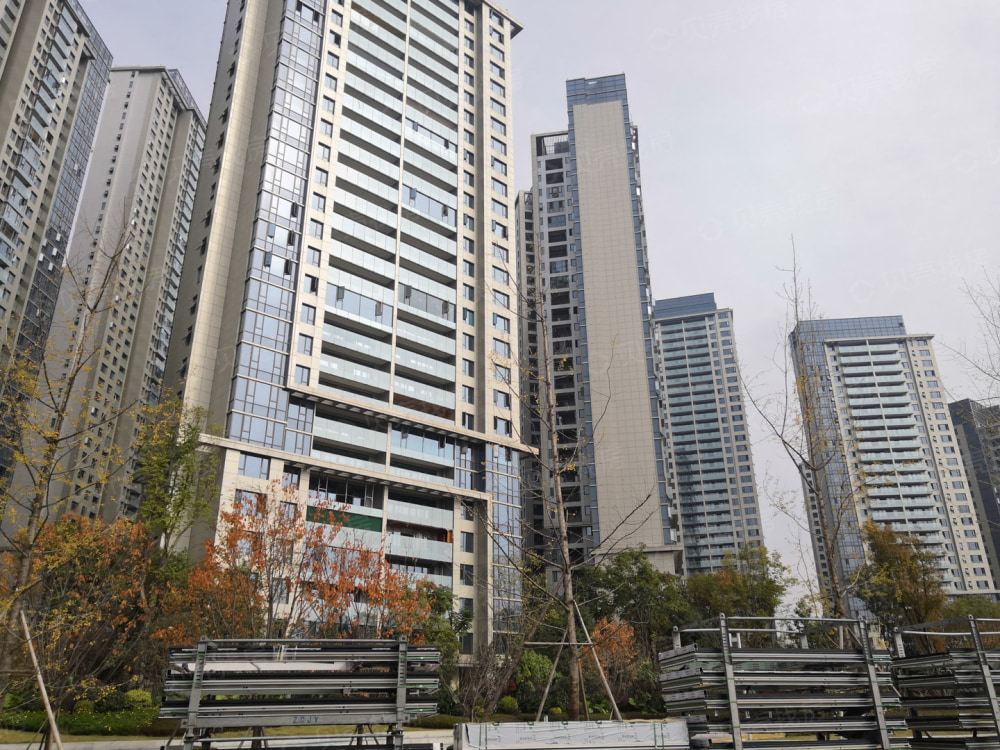 复地金融岛相册