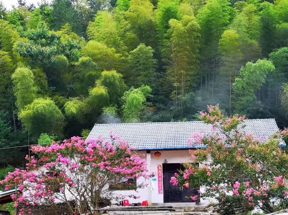 桃花溪避暑度假小镇相册