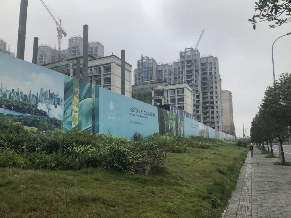 城投置地梧桐栖
