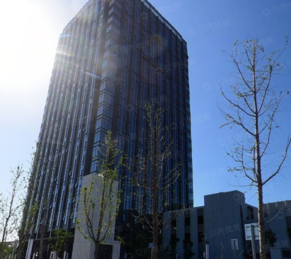 【金山工商联大厦_上海金山工商联大厦楼盘】项目现场