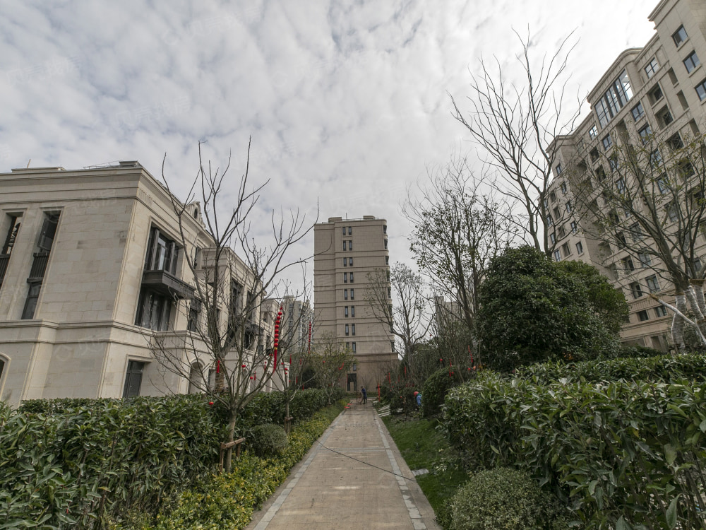 颐盛御中环相册