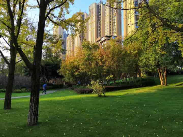 世茂玉锦湾 一环内 有装修 有家具家电 保养完善
