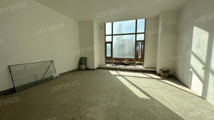 仁恒别墅二手房实景图