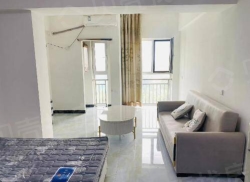 整租·华大国际中心 1室1厅 南/北_华大国际中心租房