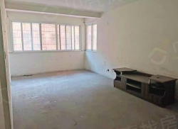 整租·河南中路 2室2厅 南_河南中路租房