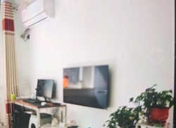 整租·振二小区 2室1厅 东/西_振二小区租房