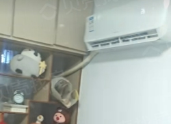 整租·北正街东6号 2室1厅 南_北正街东6号租房