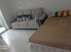 整租·强舜铭铖 1室1厅 西_强舜铭铖租房