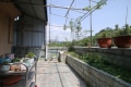 东坝香山怡园精装跃层带屋顶花园