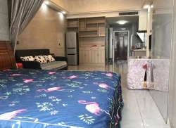 整租·同丰中央广场 1室1厅 南_同丰中央广场租房