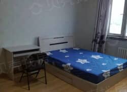 整租·哈西商厦 1室1厅 东_哈西商厦租房