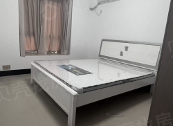 整租·金山国际 2室2厅 东南_金山国际租房