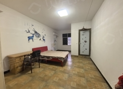 整租·黎家珑路大桥村 1室1厅 东_黎家珑路大桥村租房