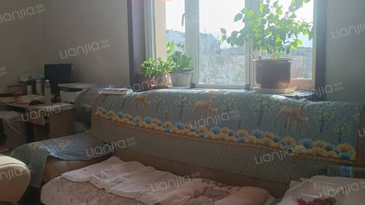 南菜园北二区二手房实景图