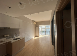 整租·万科城际之光 1室1厅 西_万科城际之光租房