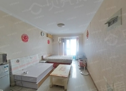 整租·东贸国际 1室1厅 北_东贸国际租房