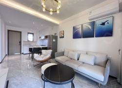 整租·银滩天玺 2室2厅 南_银滩天玺租房