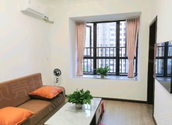 整租·任家渡·阳光 1室1厅 南_任家渡·阳光租房