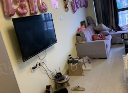 整租·天弘御江帝景 1室1厅 东_天弘御江帝景租房