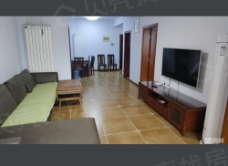 整租·腾飞奥体花城 2室2厅 南_腾飞奥体花城租房