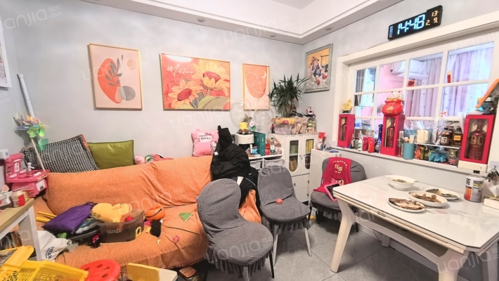 河罕上二手房实景图