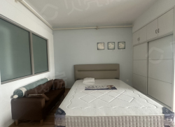 整租·新天地 1室1厅 南/北_新天地租房