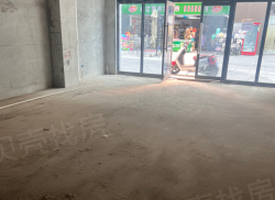 整租·碧桂园·海上大都会 1室0厅 东_碧桂园·海上大都会租房