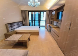 整租·森林半岛 1室1厅 南_森林半岛租房