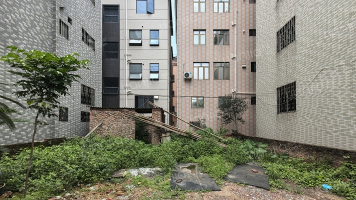 陈村自建房勒竹居委会二手房实景图