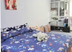 整租·高新华府 1室1厅 南_高新华府租房