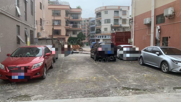 大良单家新松居委会二手房实景图