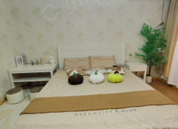 整租·金鼎国际公寓 1室1厅 西南_金鼎国际公寓租房