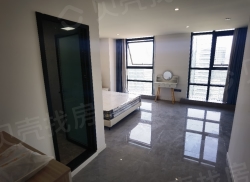 整租·临港中央 1室0厅 南_临港中央租房