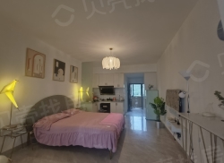 整租·翔烨澎湖湾 1室1厅 南/北_翔烨澎湖湾租房