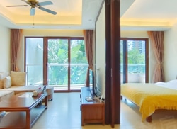 整租·神州半岛君临海 1室1厅 北_神州半岛君临海租房