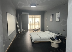 整租·步行街大厦 1室0厅 南_步行街大厦租房