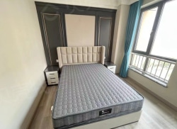 整租·江南城市之星 1室1厅 南_江南城市之星租房